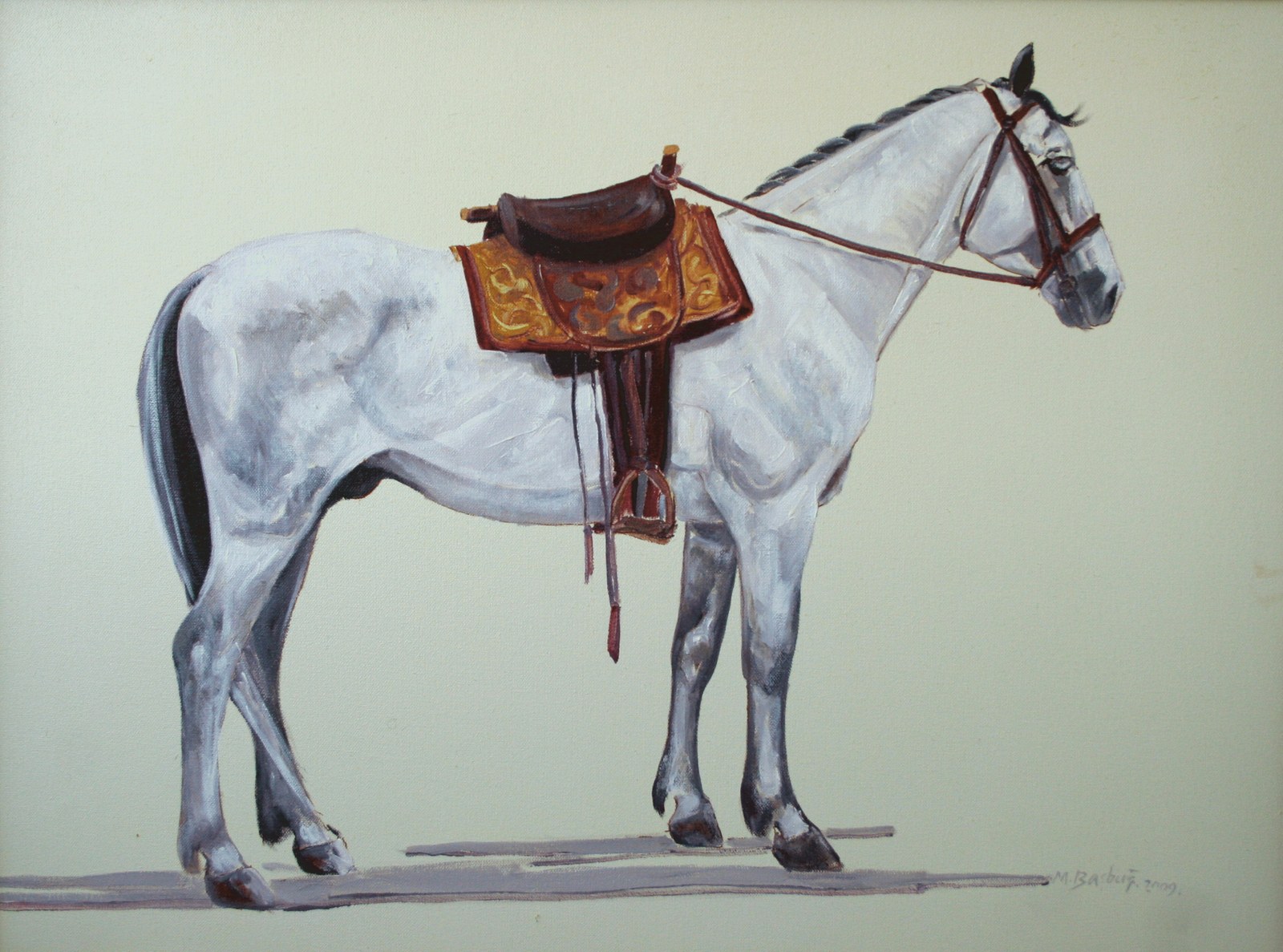 Mehmet Başbuğ, At